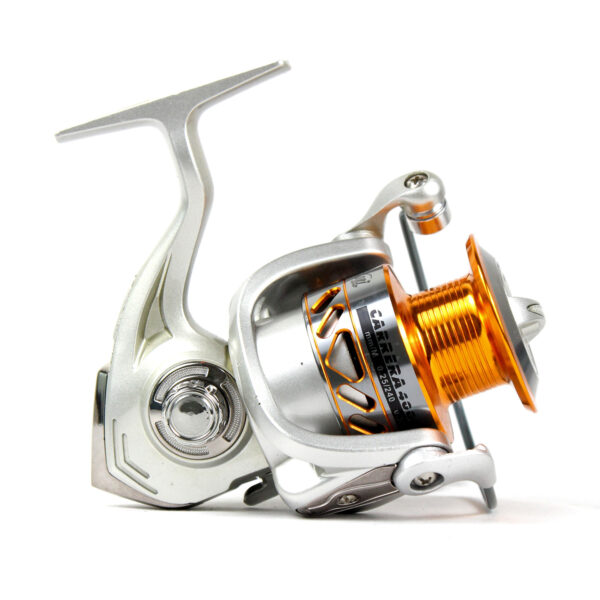 Exori Carrera - Image 3